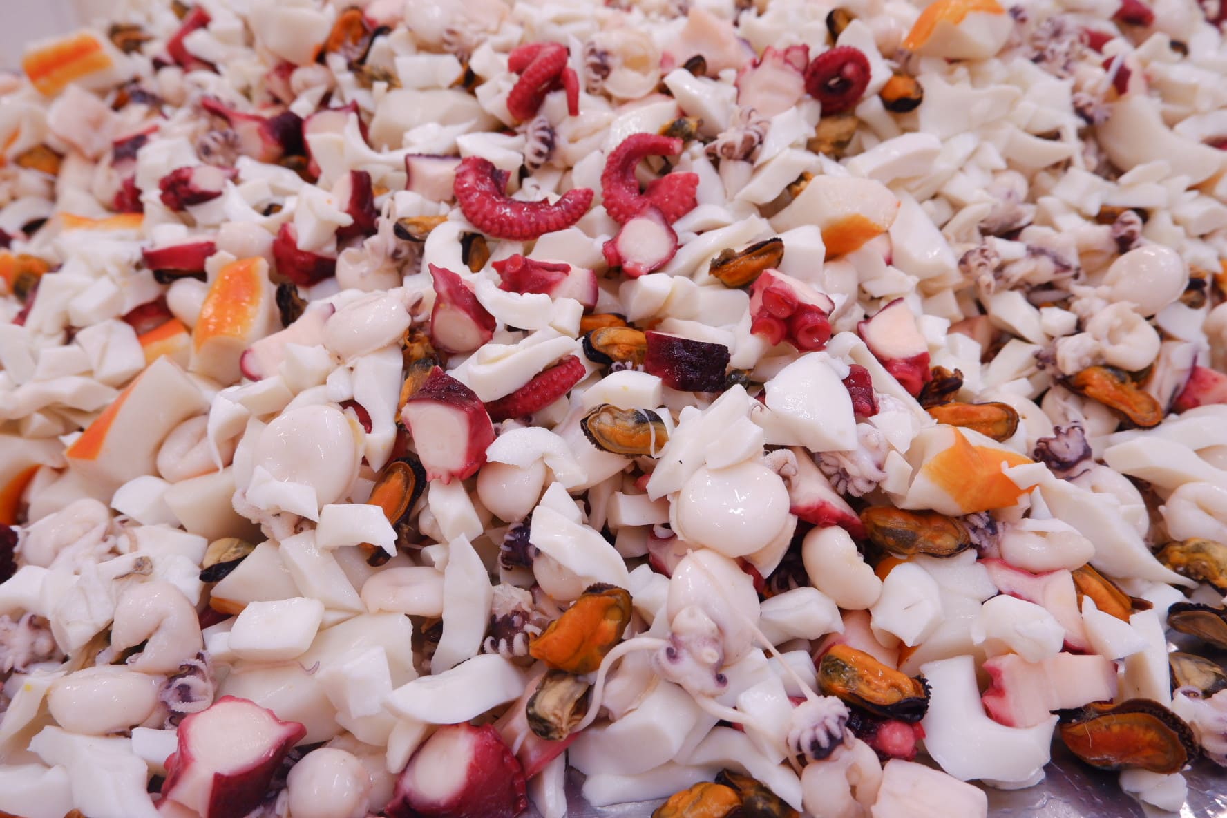 Antipasto di Mare First